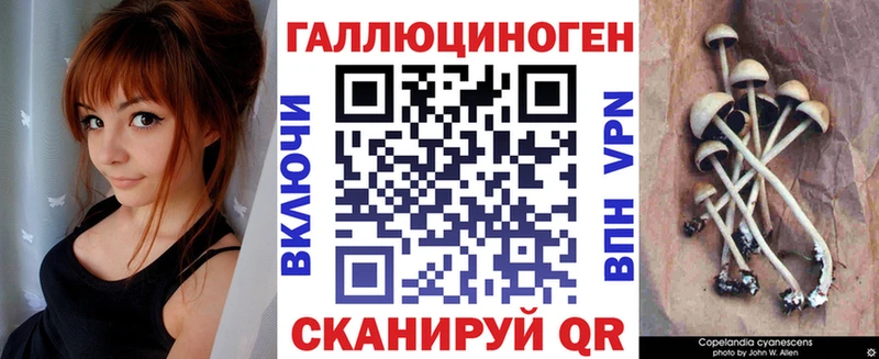 хочу   Аргун  мега как зайти  Псилоцибиновые грибы прущие грибы 